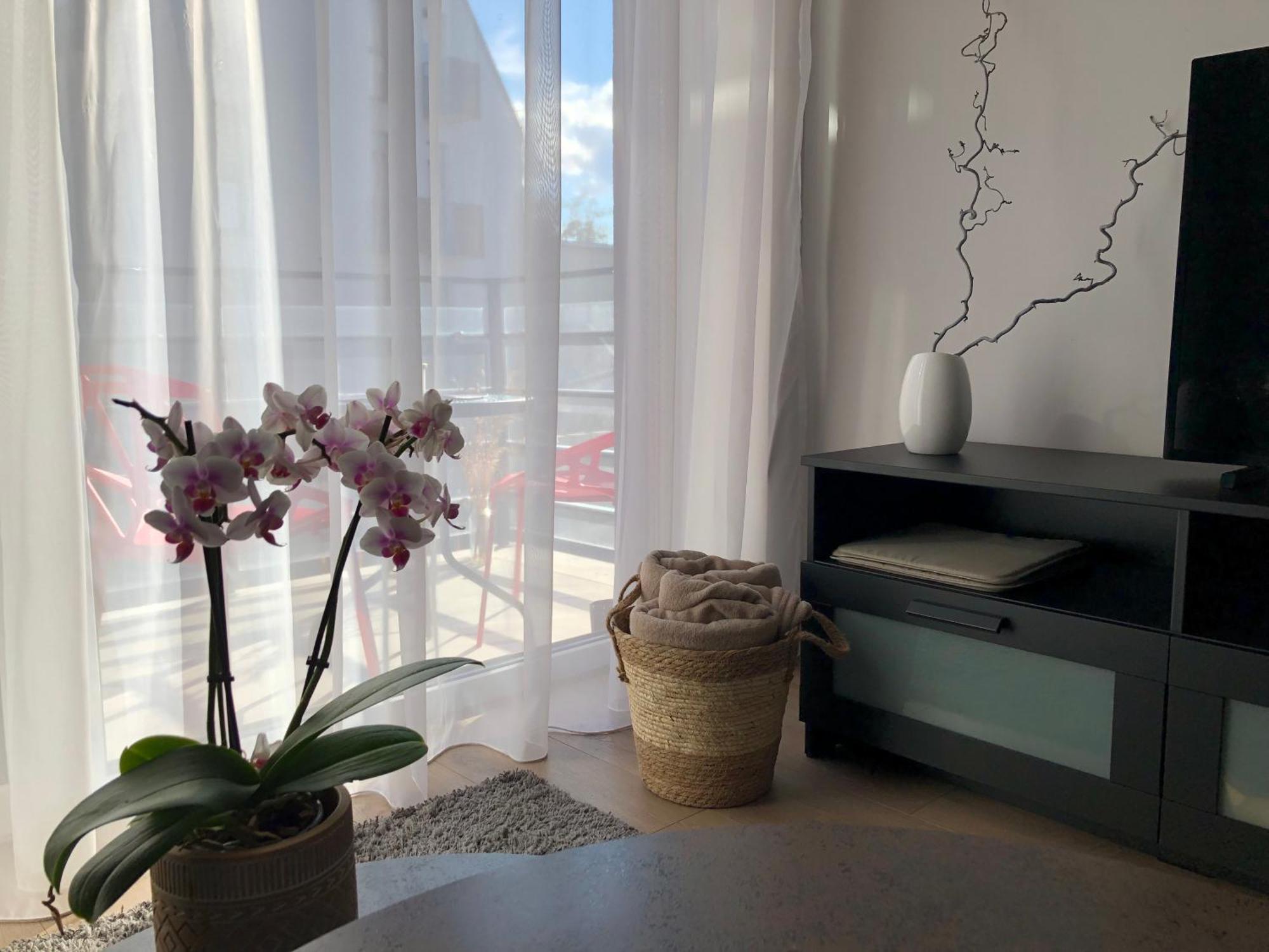 Cosy 1 Bedroom Apartment In The Heart Of Old Town With Parking カウナス エクステリア 写真